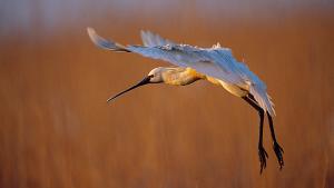 Fotó: knp.nemzetipark.gov.hu